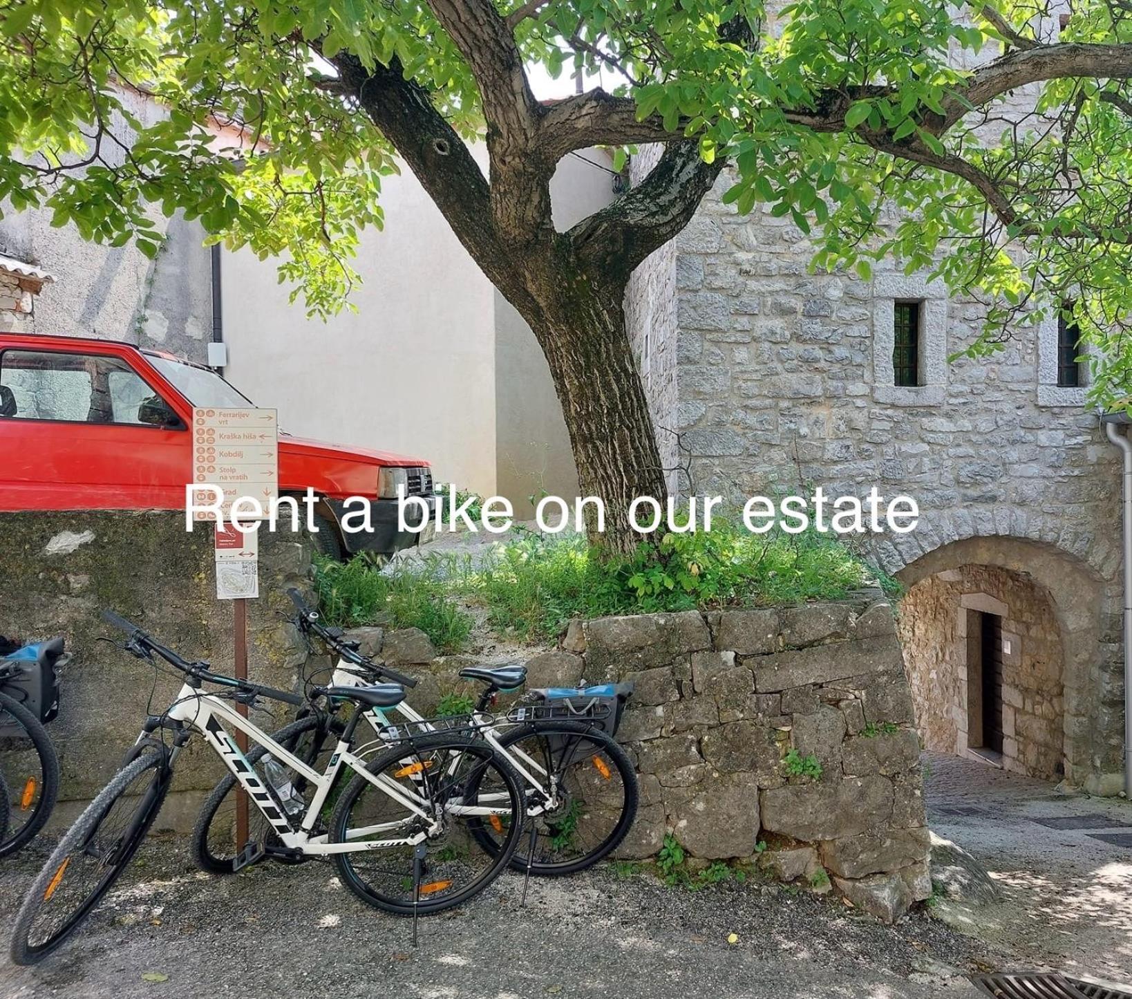 Zenja - Nature Property - Garden - Parking Yard Divaca Exterior photo